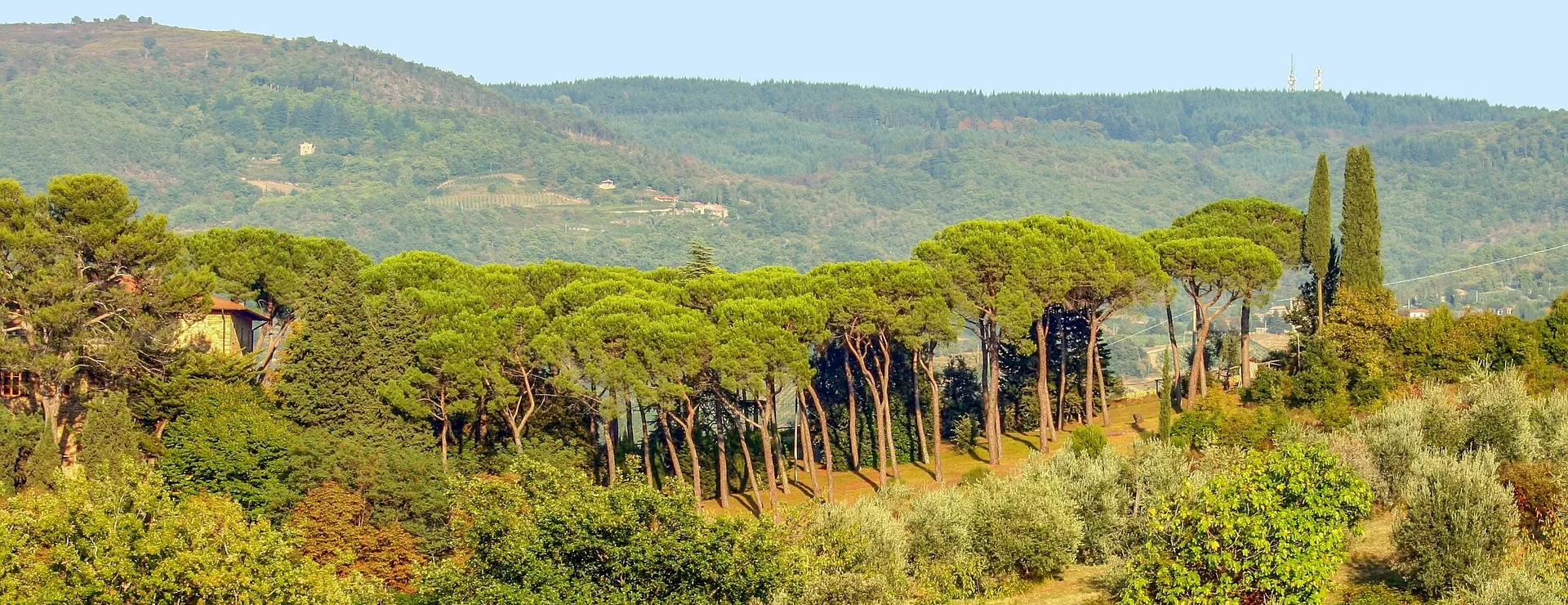 Reise Toscana -Angelika Höger-Merkl